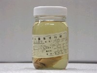 藏品(克氏海葵魚)的圖片